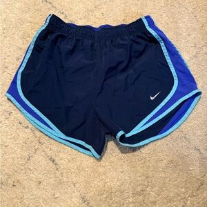 Nike Purple Dri-FIT Shorts